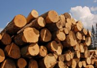 Особенности и преимущества бруса из лиственницы