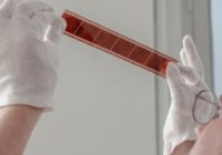 Трейлер фильма Певчая птица: что ожидать от картины