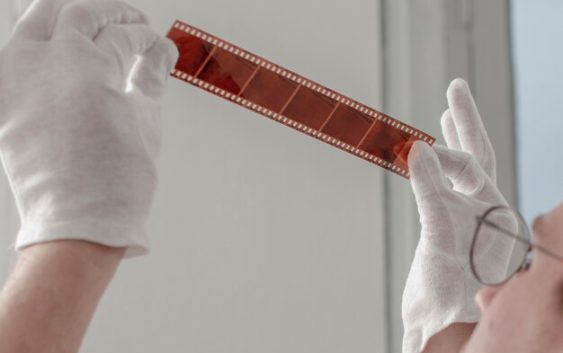 Трейлер фильма Певчая птица: что ожидать от картины